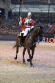 Cavalry - 00241